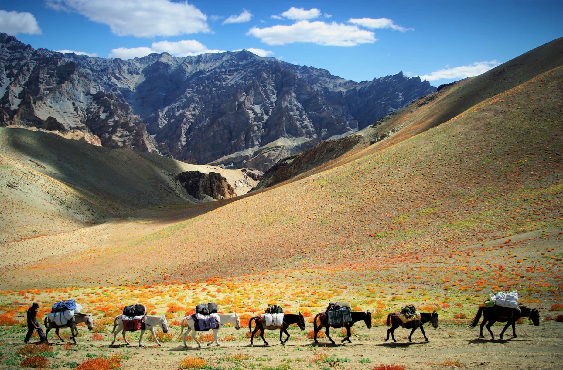 Caravane dans le Zanskar