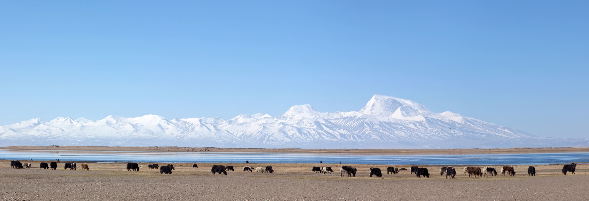 Lac Manasarovar, Tibet