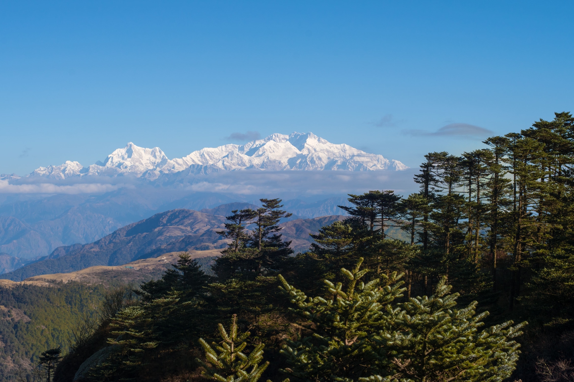 Mont Kanchenjunga depuis Sandakphu