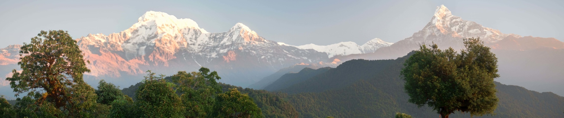 Lever de soleil sur les forêts au pied de l'Annapurna, Népal