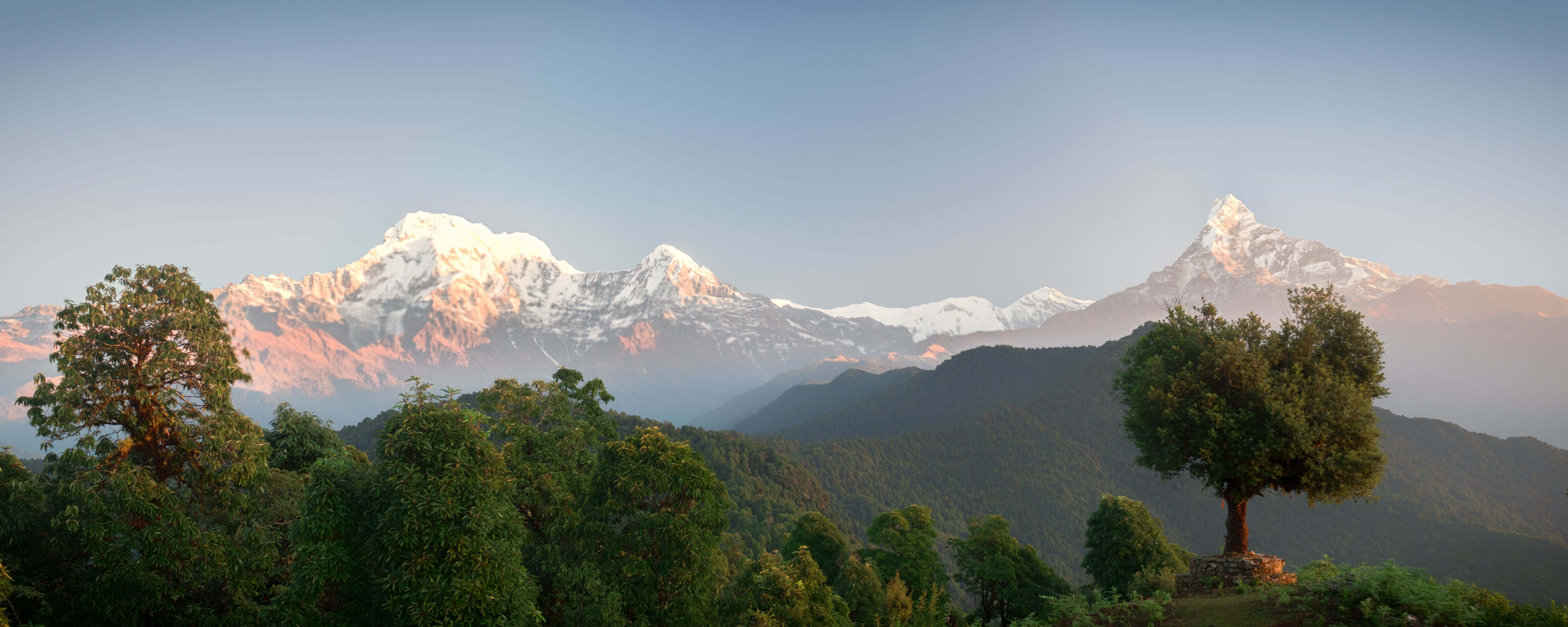 Lever de soleil sur les forêts au pied de l'Annapurna, Népal