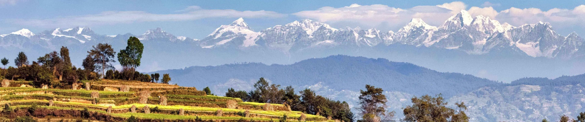 Rizières et sommets enneigés, Népal