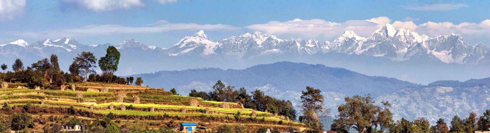 Rizières et sommets enneigés, Népal