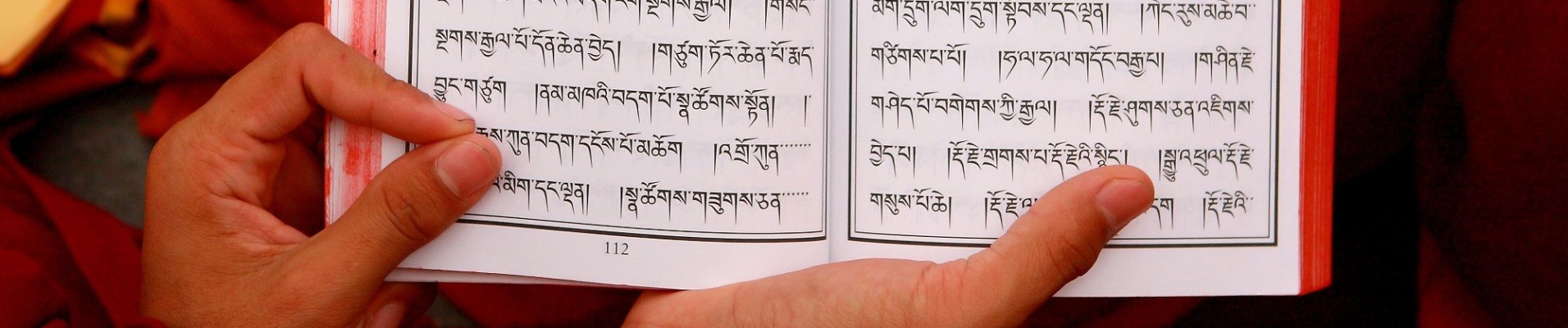Moine lisant, Népal