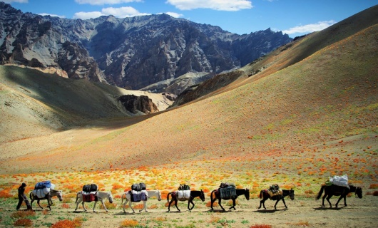 Caravane dans le Zanskar