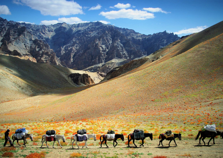Caravane dans le Zanskar