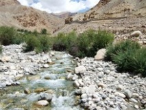 Torrent de l'Himalaya