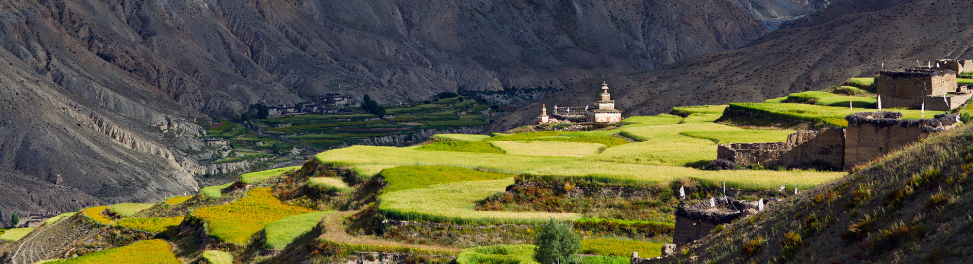 Vallée dans le Dolpo