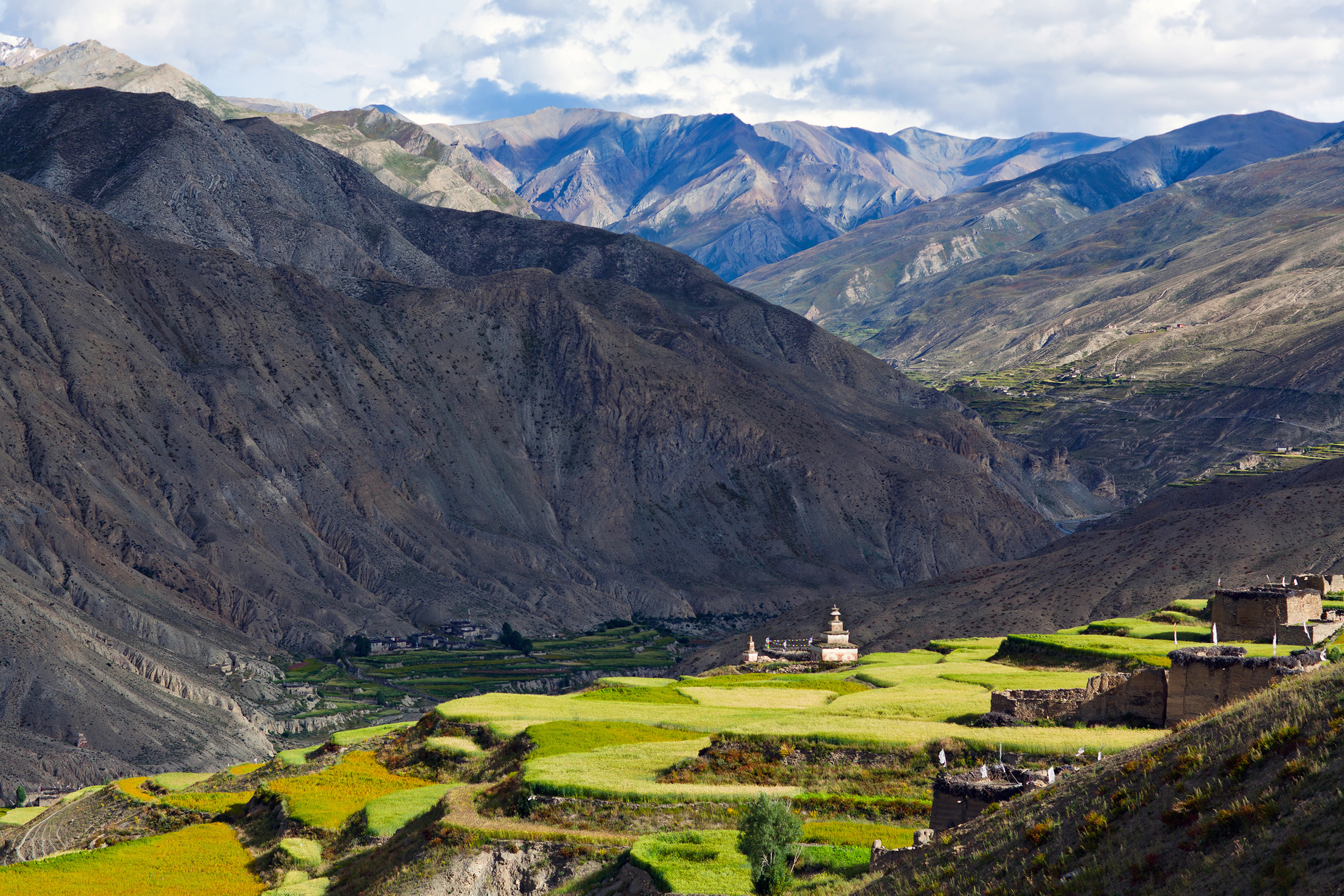 Vallée dans le Dolpo