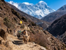 En chemin vers l'Everest, vallée du Haut Khumbu