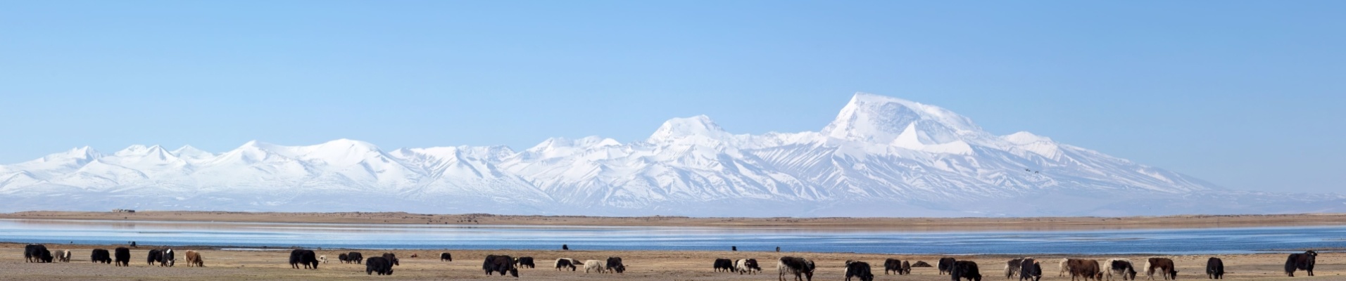 Lac Manasarovar, Tibet