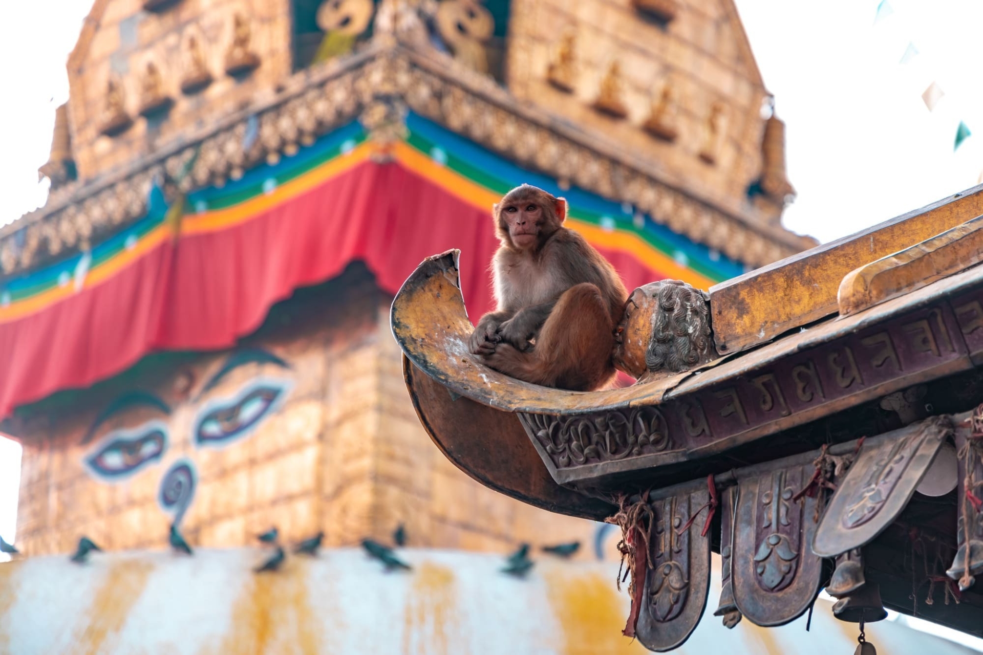 nepal-temple-katmandou
