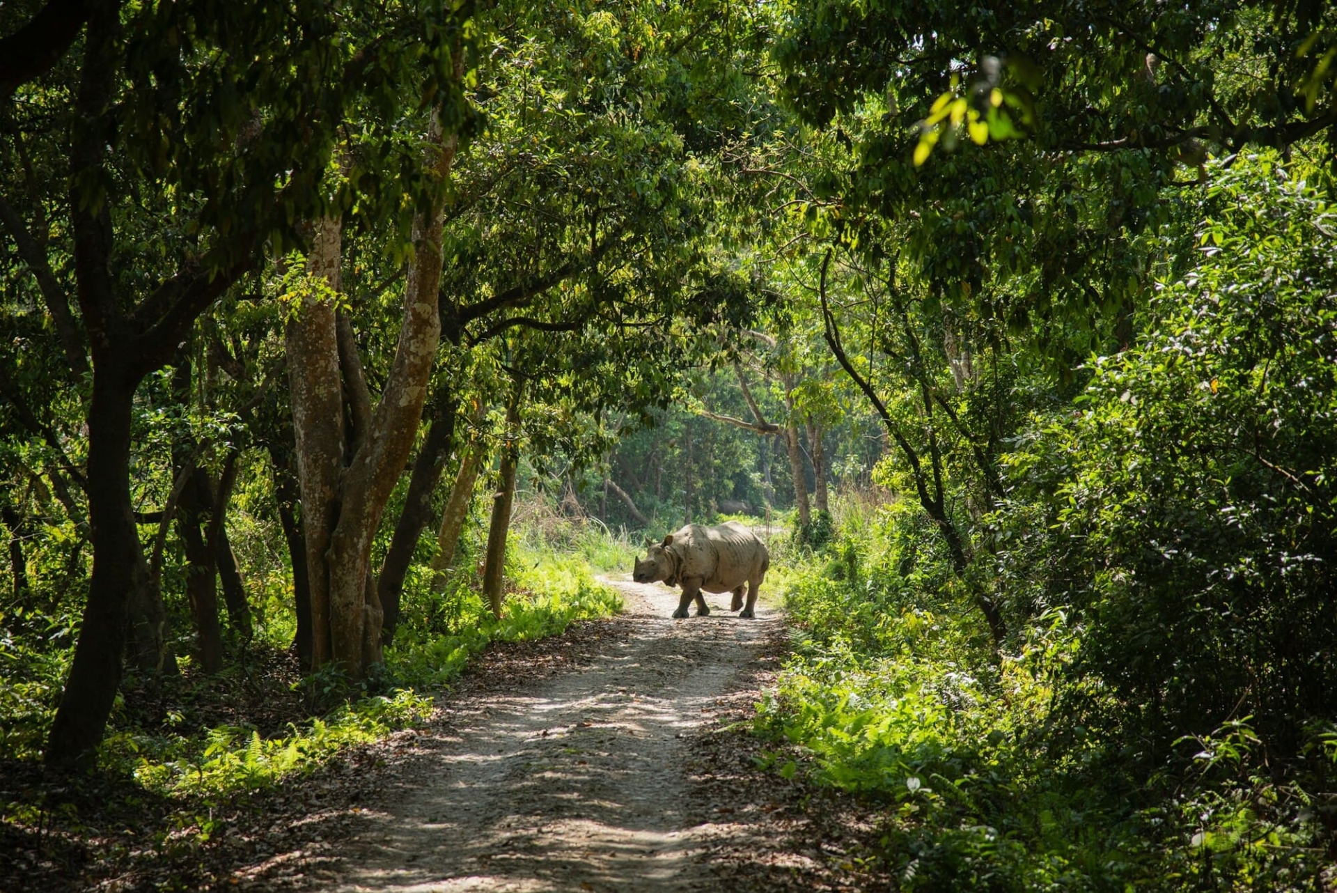nepal-grandeur-nature